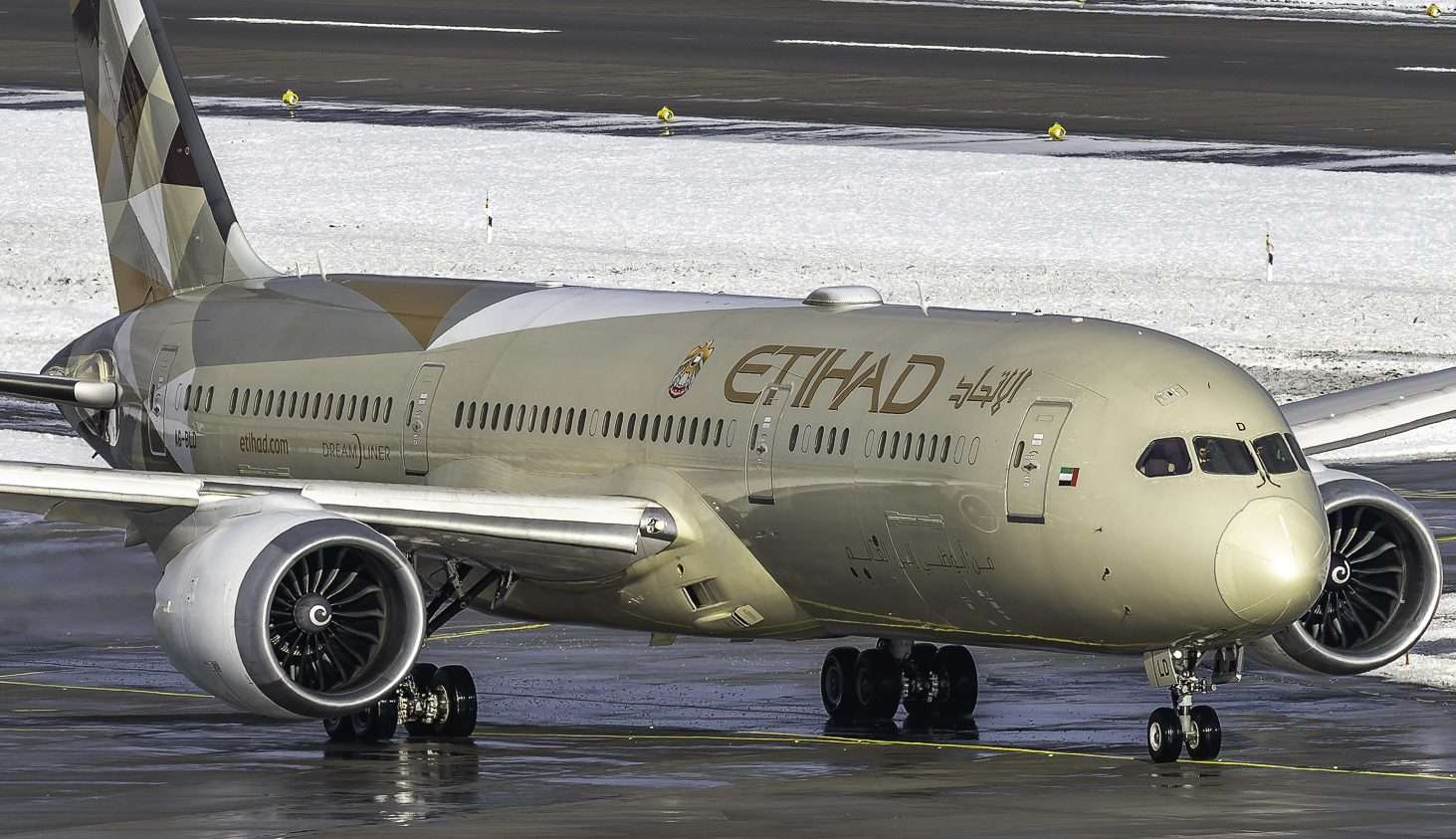 An Etihad Airways Boeing 787-9 Dreamliner